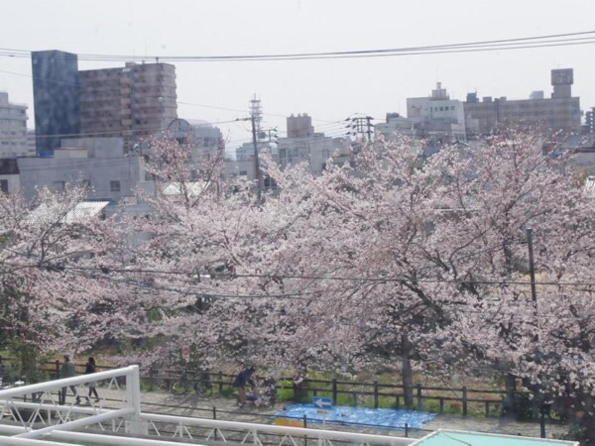Tottori City Hotel / Vacation Stay 81355 Extérieur photo